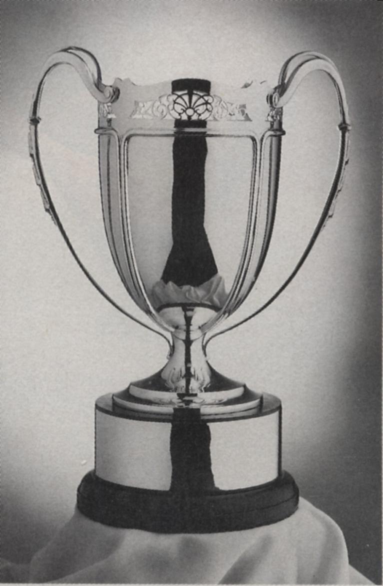 Copa Mundial de rugby femenino