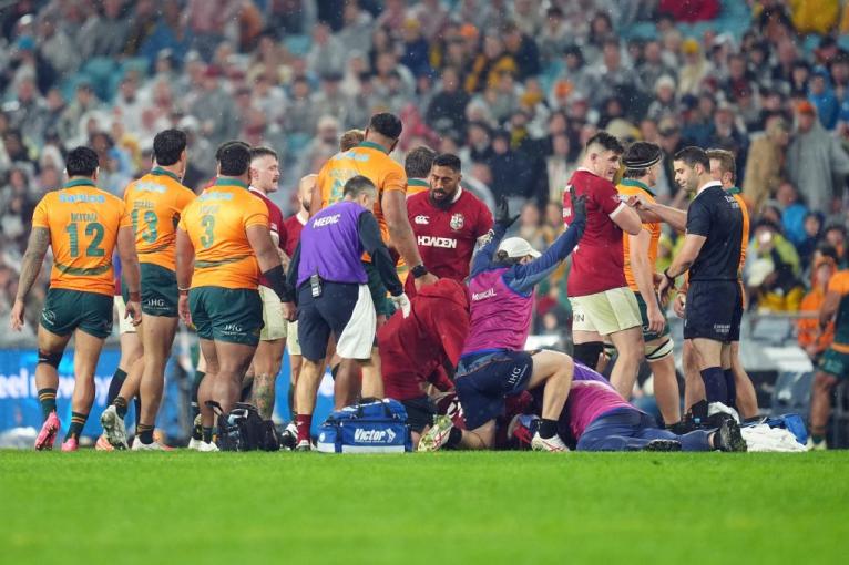 Leones británicos e irlandeses