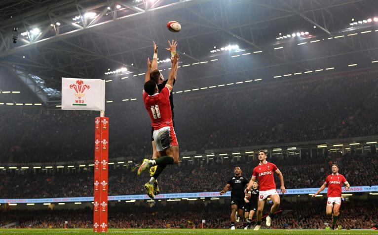 Wales v Selandia Baru