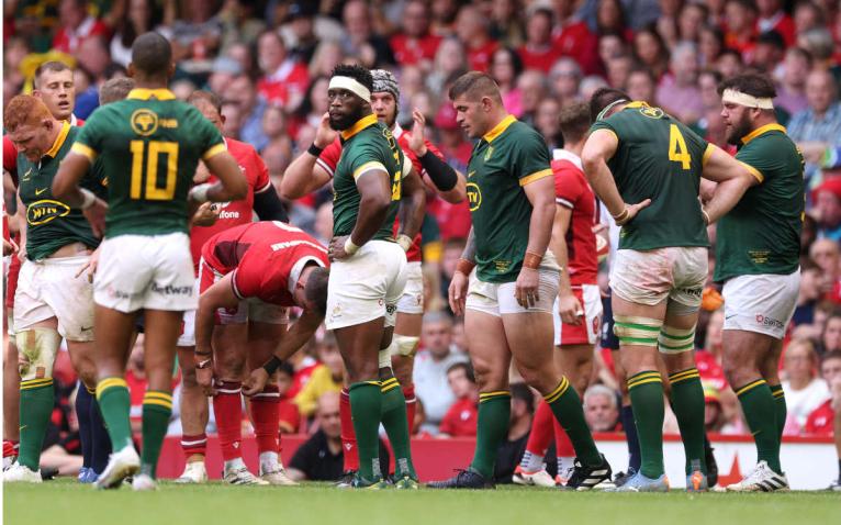Wales v Afrika Selatan