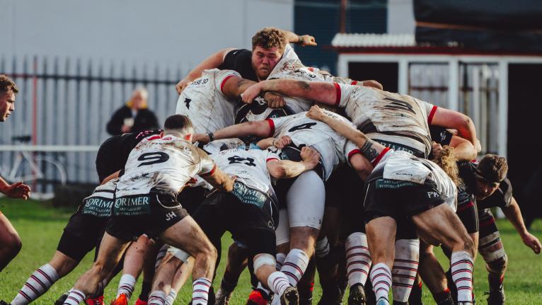 Leones de rugby