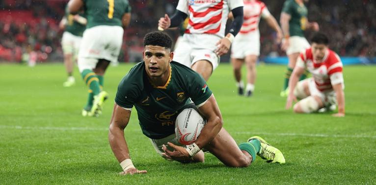 Springboks player ratings