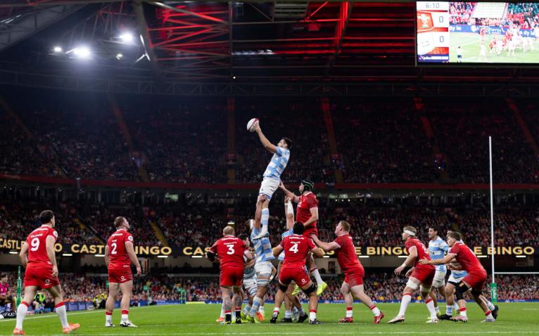 Wales v Argentina