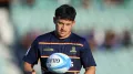 Blues lure another rising talent north from Highlanders