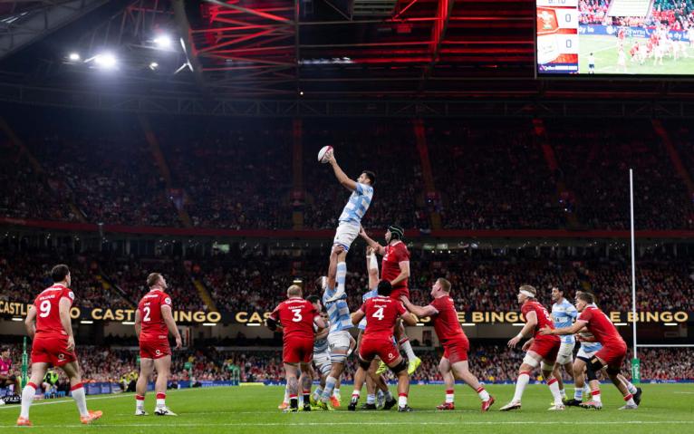 Wales v Argentina 
