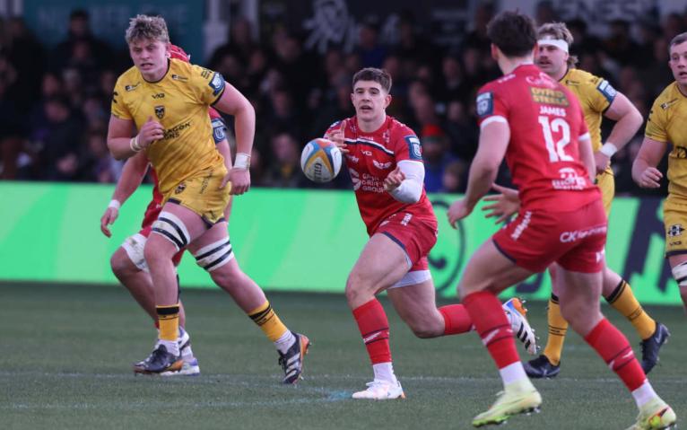 Joe Hawkins 