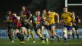 Former Harlequins and Irealnd U20s star goes Dutch
