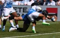 Une bonne nouvelle de plus pour Nice, qui s'offre un All Black