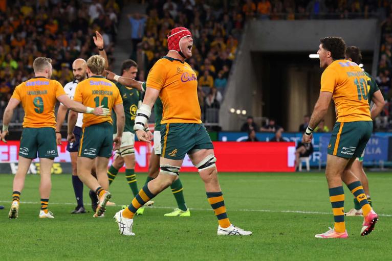 Harry Wilson celebrates victory over South Africa