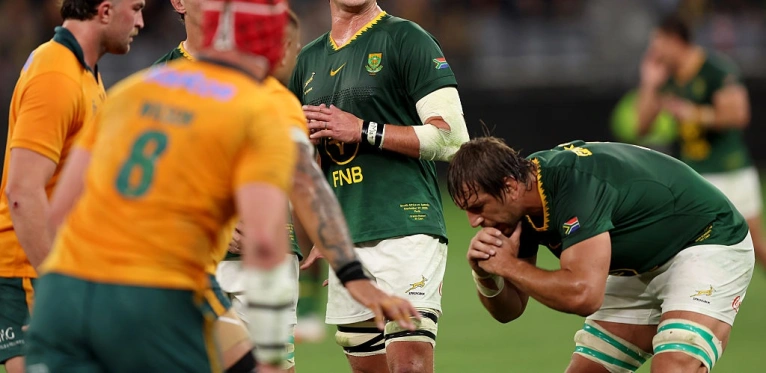 Springboks player ratings