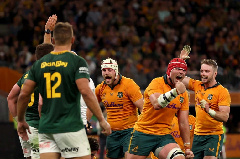 Harry Wilson celebrates scoring a try against South Africa