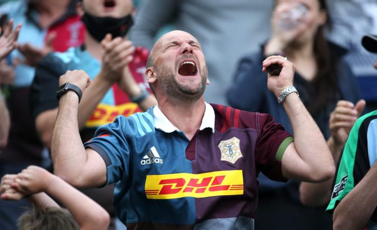 Harlequins fan