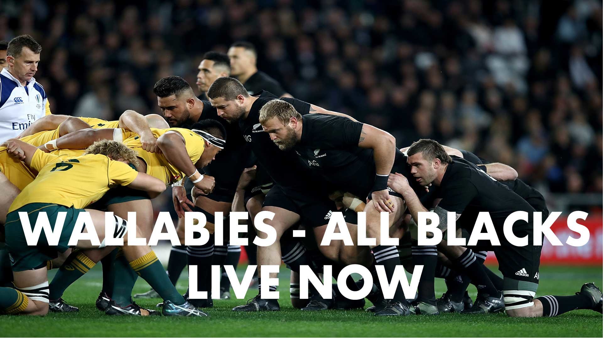 Live Now Wallabies v All Blacks