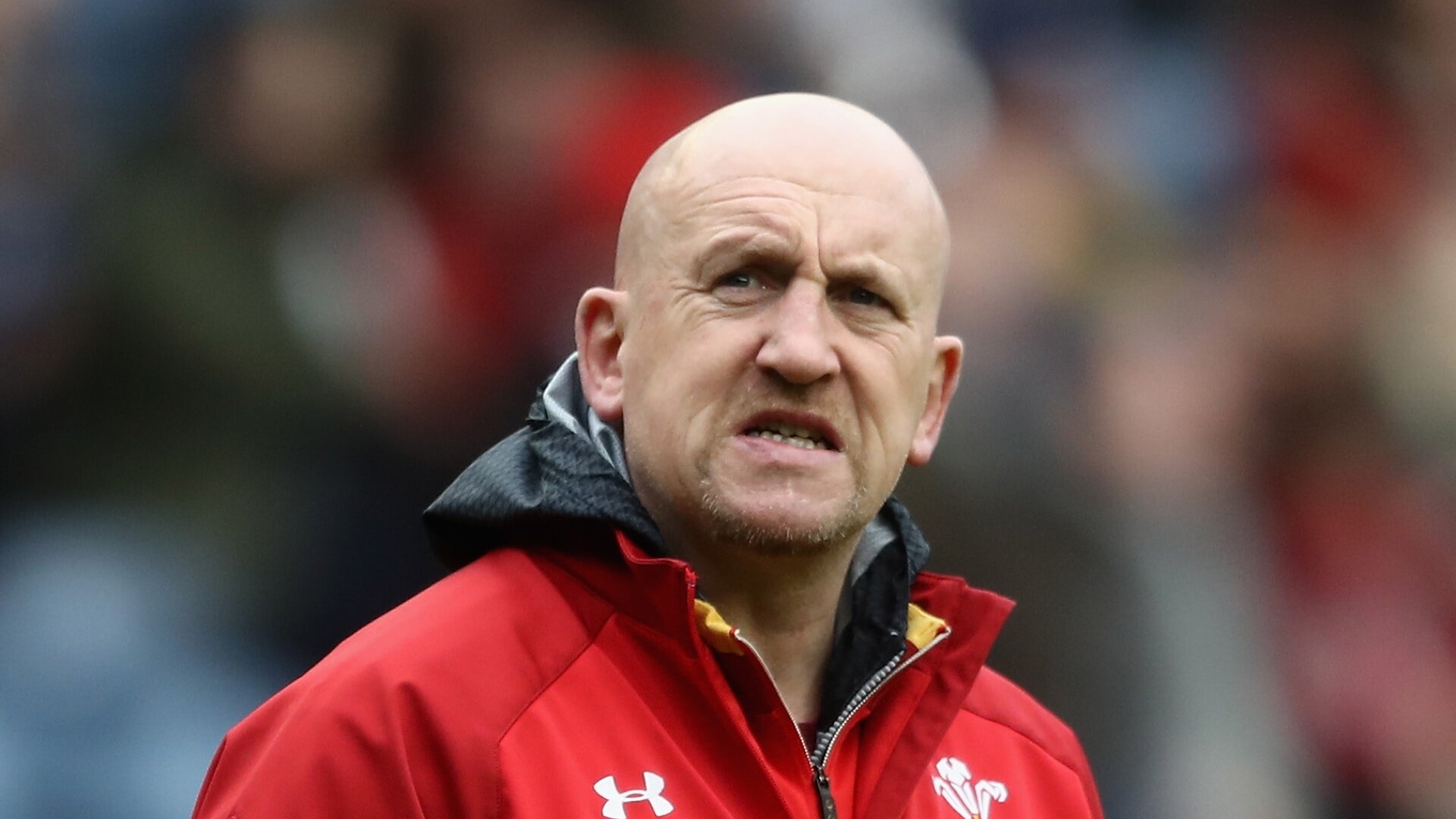 Shaun Edwards' talks with the WRU take another fresh twist reports
