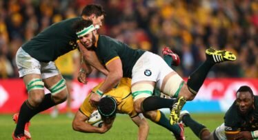 Nienaber names 43-man Springboks squad for Test season