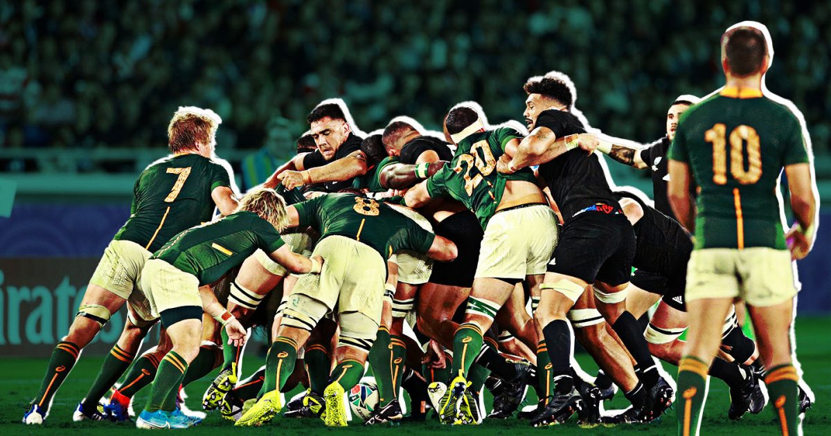Springboks relish renewed rivalry with All Blacks