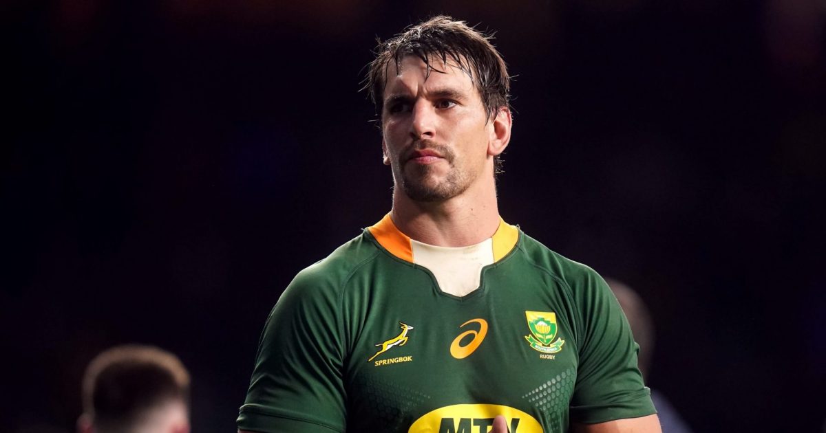Springboks player ratings vs England | Autumn Nations Series - Vimarsana News