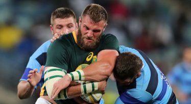 Leinster to fill lock void by signing giant Springbok from Munster - report
