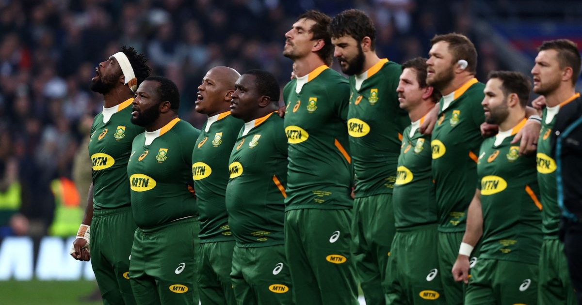 'Alignment camps vital': Nienaber explains plan for 2022 Springboks