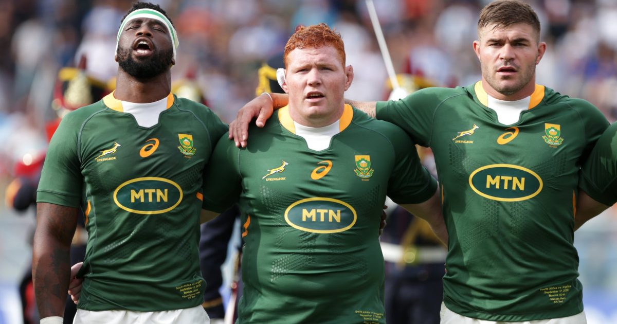 35strong Springboks squad includes Libbok, Mngomezulu and Jenkins