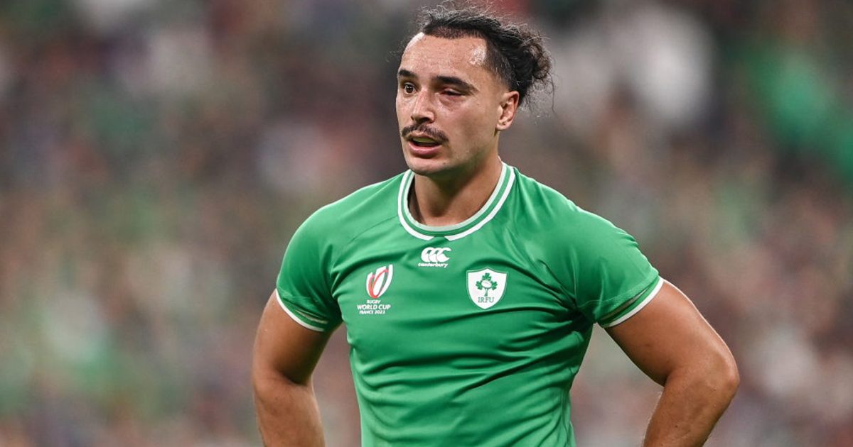 Ireland reveal full extent of injuries ahead of New Zealand showdown