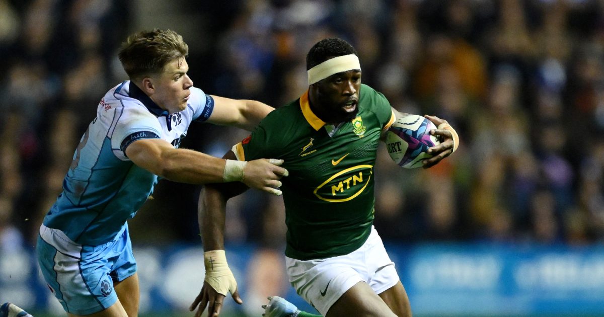 Springboks return to top of world rankings