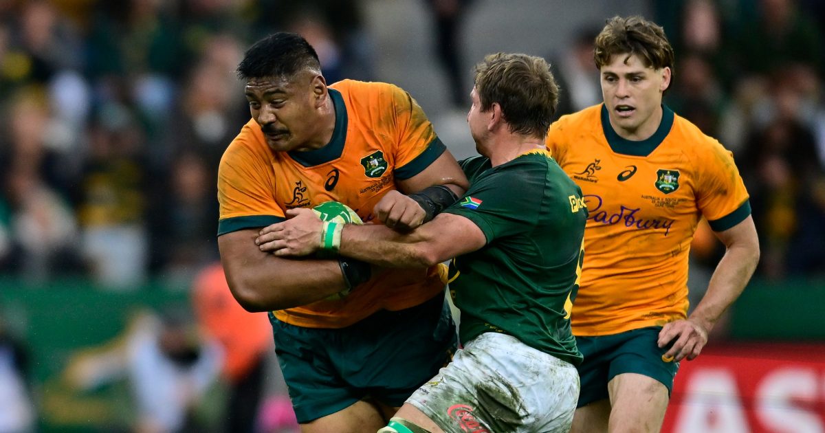 Schmidt blickt auf die Rugby-Weltmeisterschaft: „Der Charakter ...