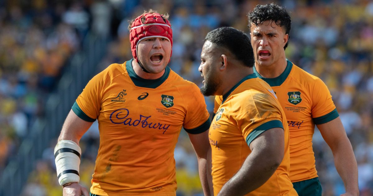 Joe Schmidt names Wallabies squad for January training camp