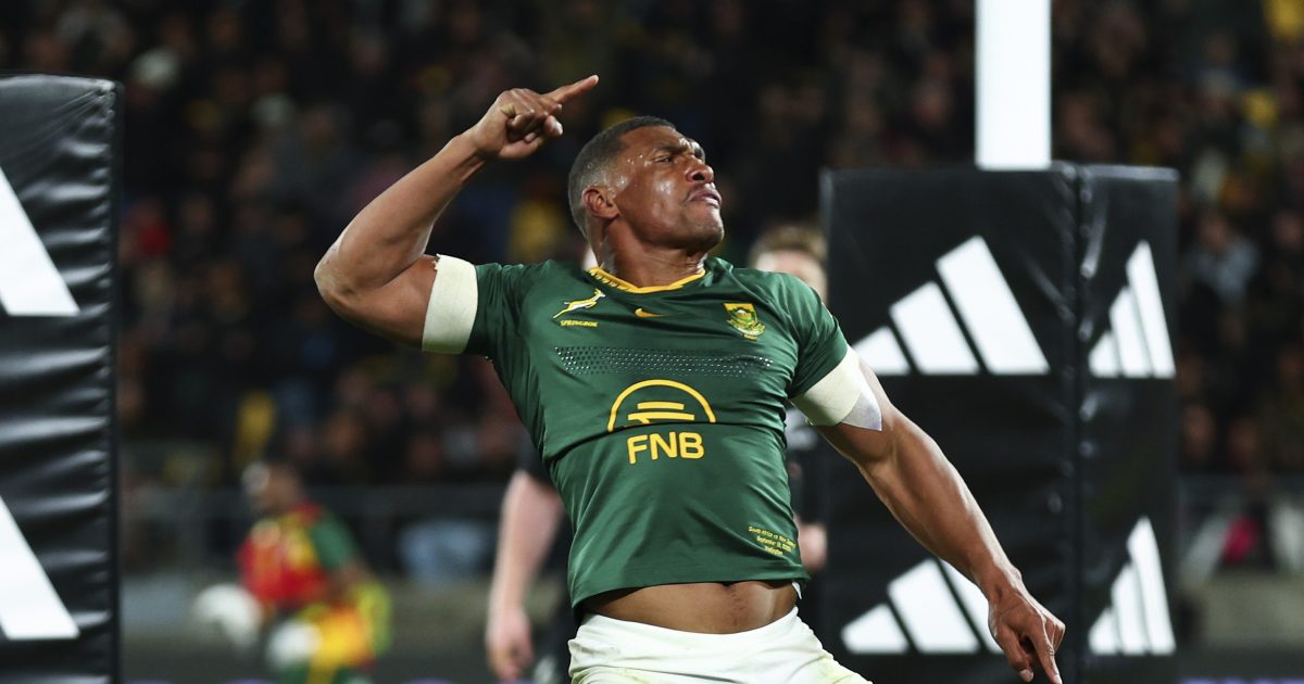 Springboks and All Blacks untouchable in World Rugby Rankings