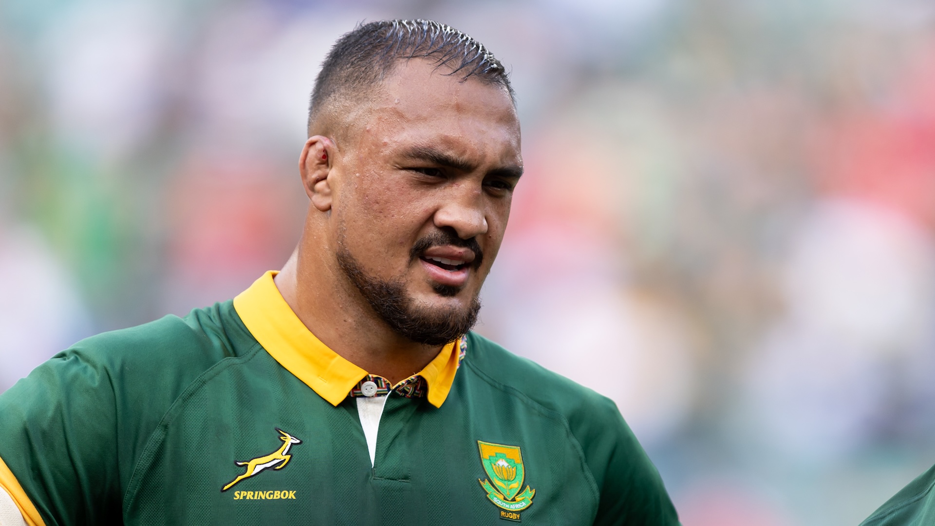 Springboks release Salmaan Moerat from camp with uncapped team-mate called  up