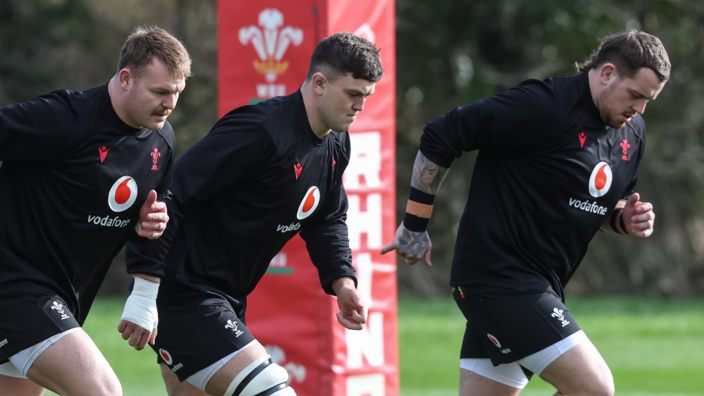 Wales fly in reinforcements ahead of daunting Springboks challenge