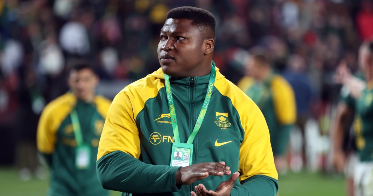 Springboks verstärken Kader für Argentinien und die Serie der größten ...