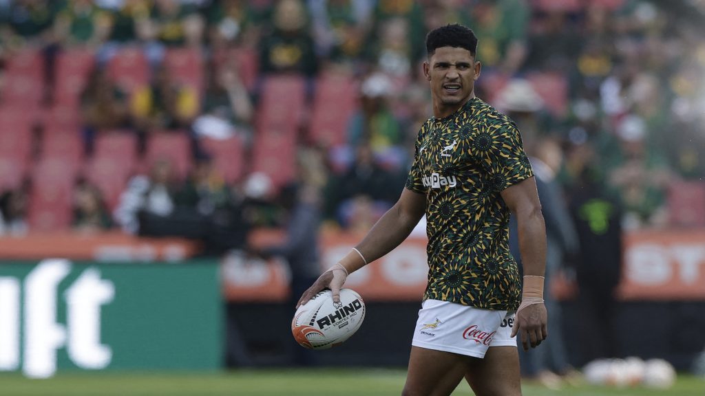 Erasmus explains Feinberg-Mngomezulu decision in Bok 10 merry-go-round