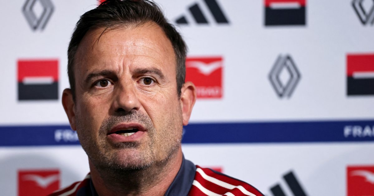 ‘I take full responsibility’: France coach speaks out after 81-12 defeat
