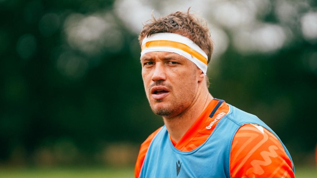 'Liberated' Glen Young driven on by Rugby World Cup carrot