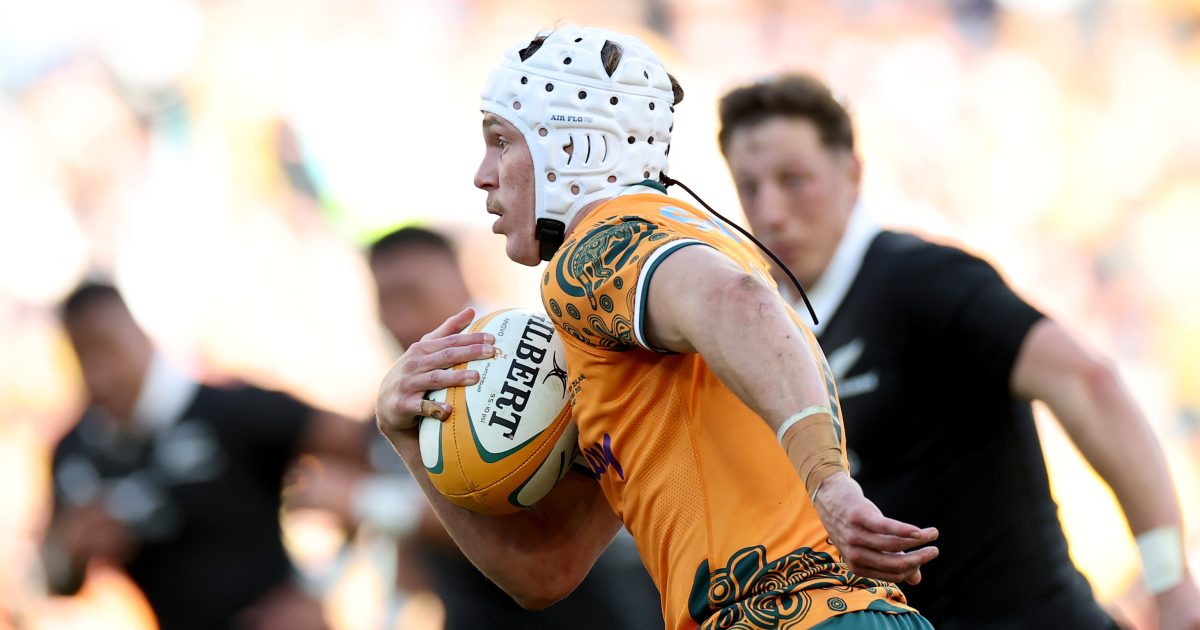 Steve Hansen's 'inconvenient fact' for Les Kiss' Wallabies